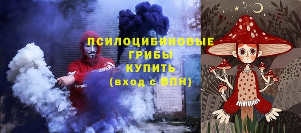 героин Няндома