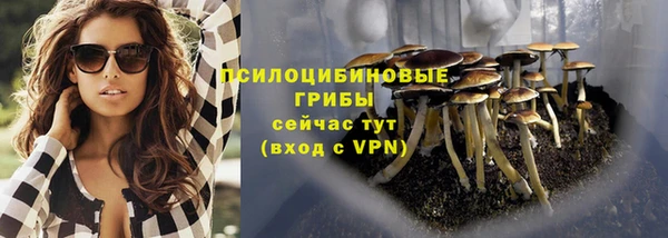 героин Няндома
