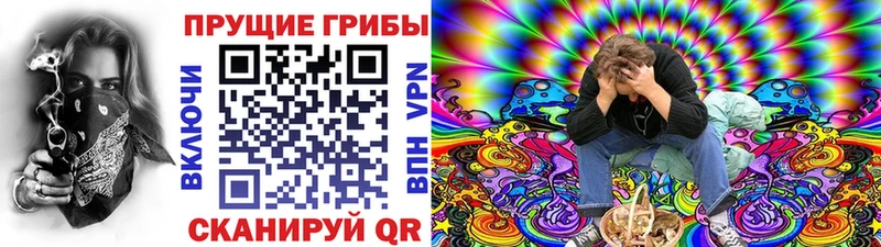 наркота Исилькуль Псилоцибиновые грибы ЛСД